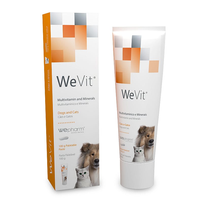Wepharm WeVit Gel 100 gram | 15872