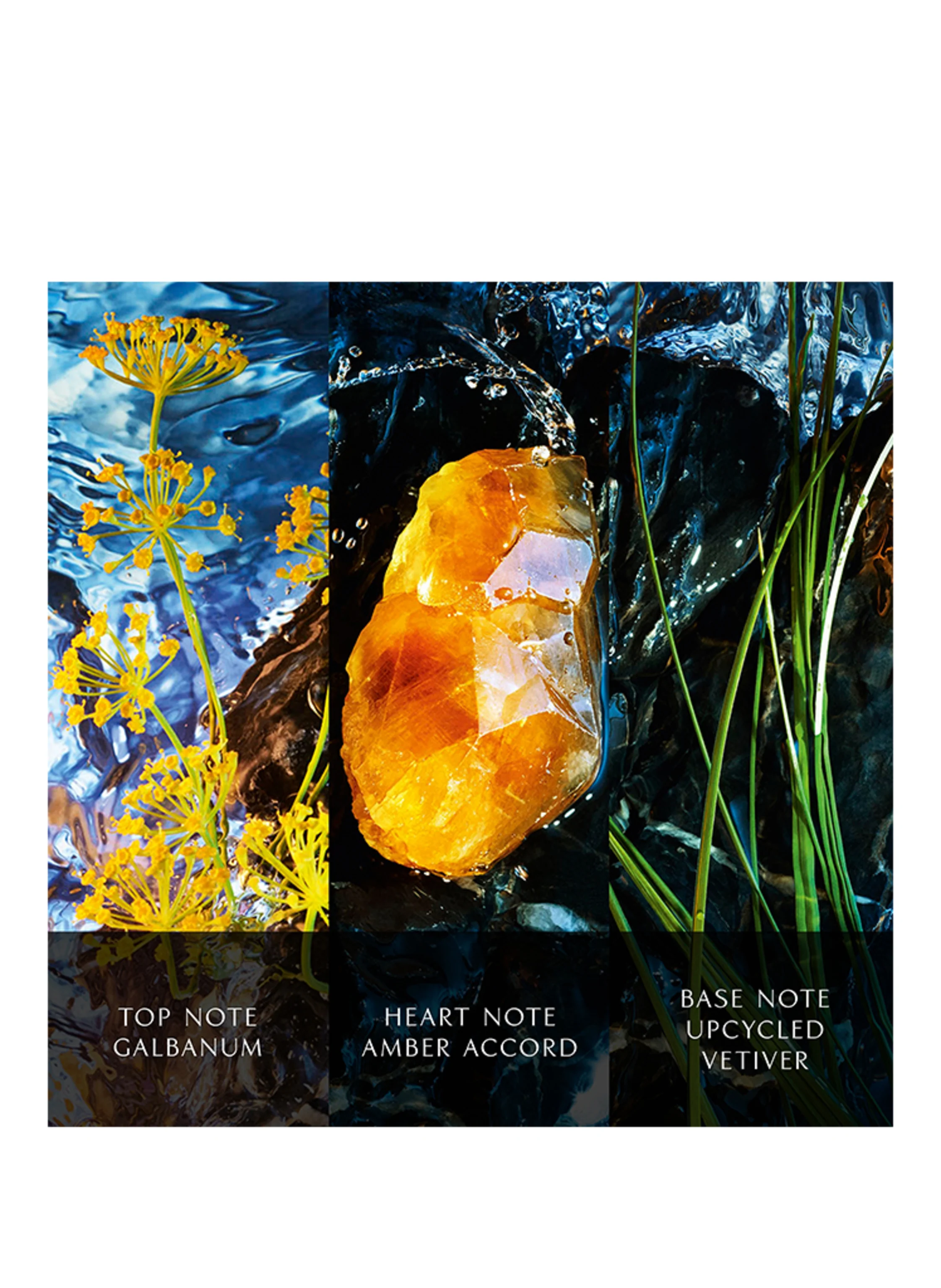 Davidoff COOL WATER REBORN