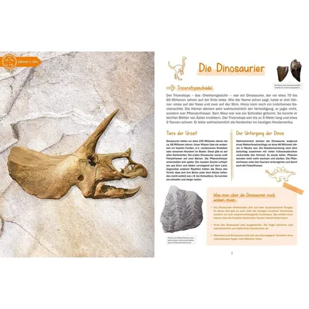 ars Edition 100 Sachen die Geschichte machten - Von der Bronzeaxt bis zum Roboter
