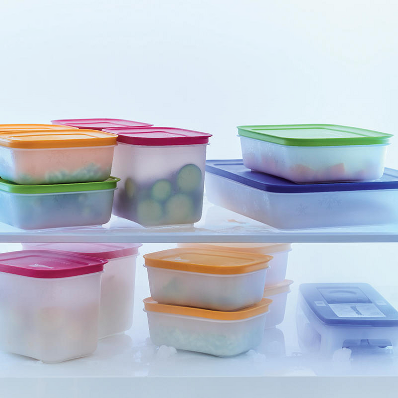 Eiskristall 170 ml (2) Zwei kleine Gefrierbehälter mit Deckel für Kräuter oder kleine Portionen