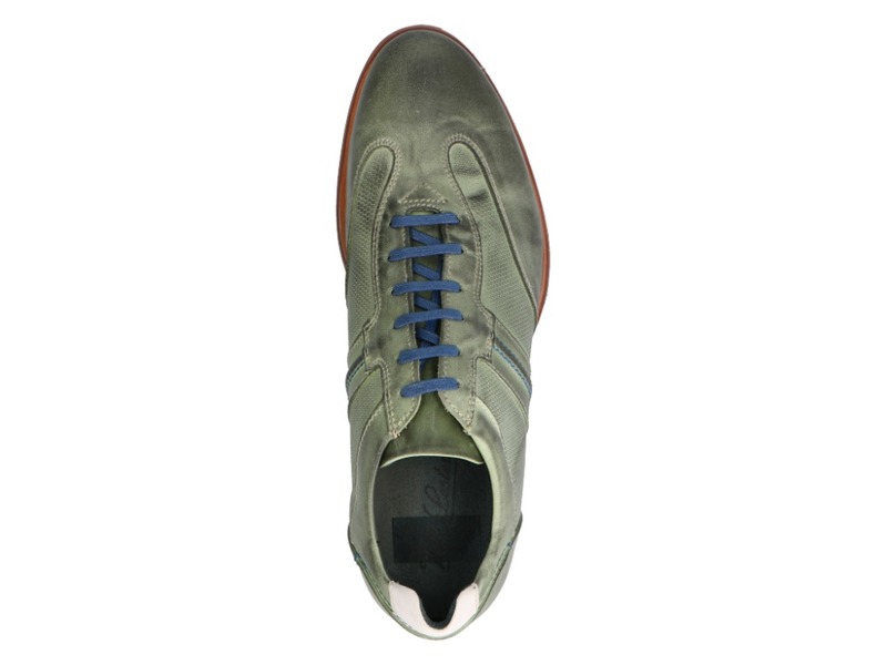 Will Lester 36305 Groen