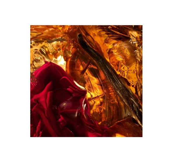 Guerlain Absolus Allegoria Ambre Samar Eau de Parfum