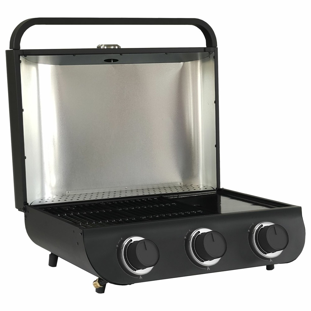 Cook'in garden - barbecue gaz flavo 60 à poser