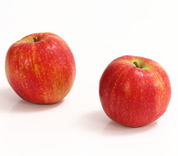 Winterapfel 'Jonagold'