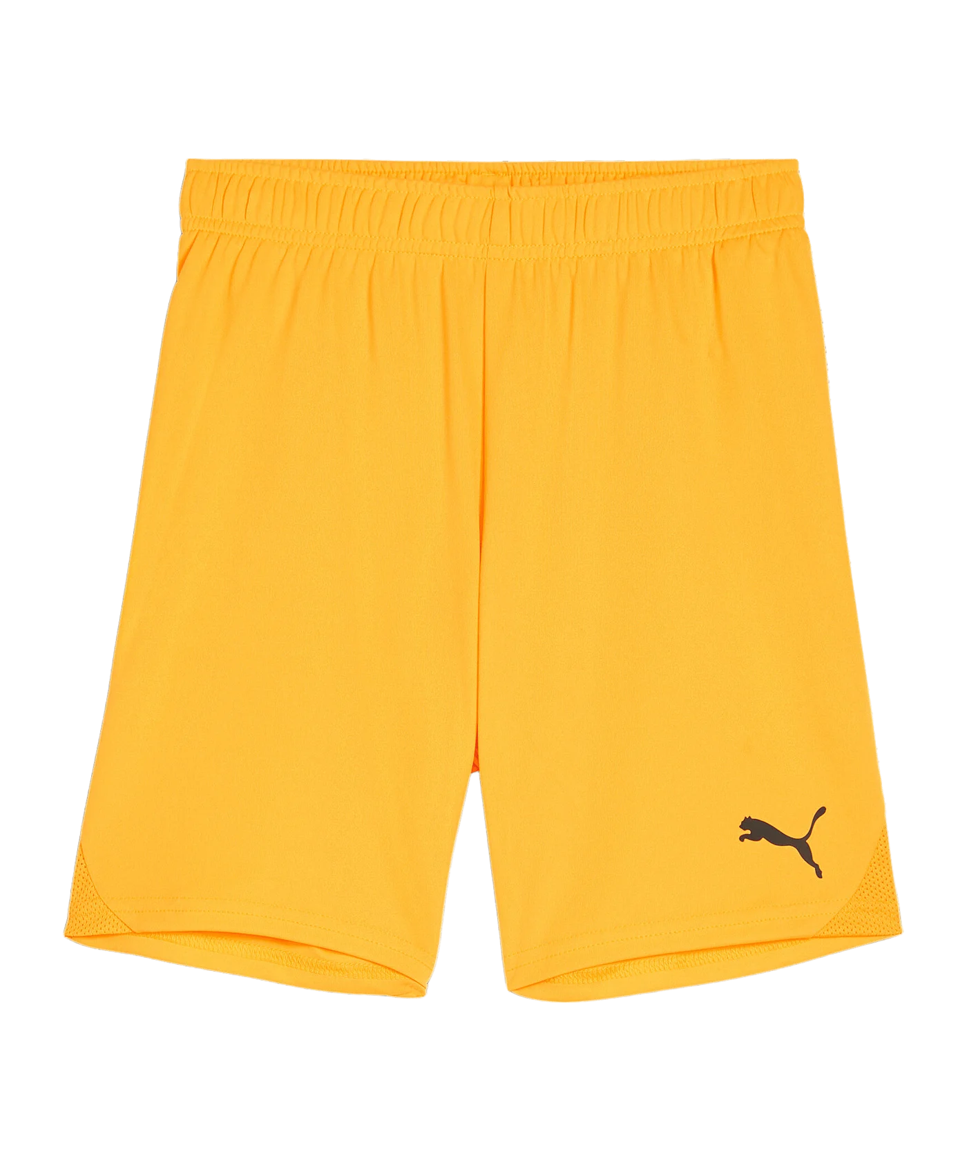 PUMA teamGOAL Short Kids Orange Schwarz F61