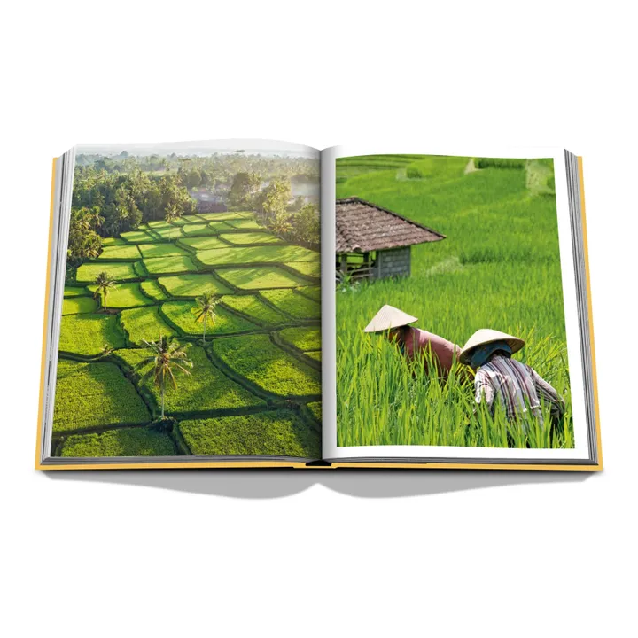 Assouline Bali Mystique