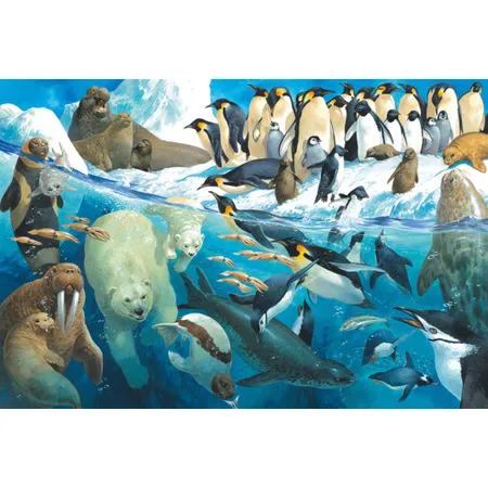 Schmidt Spiele KinderPuzzle - Tiere am Polarkreis