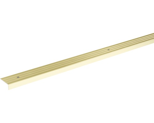 SKANDOR traprandprofiel, champagne geanodiseerd, geperforeerd, 9,5x24,5x900 mm