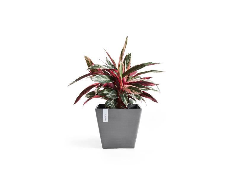 Ecopots Pflanzentopf Rotterdam 50 Grau Blumentopf