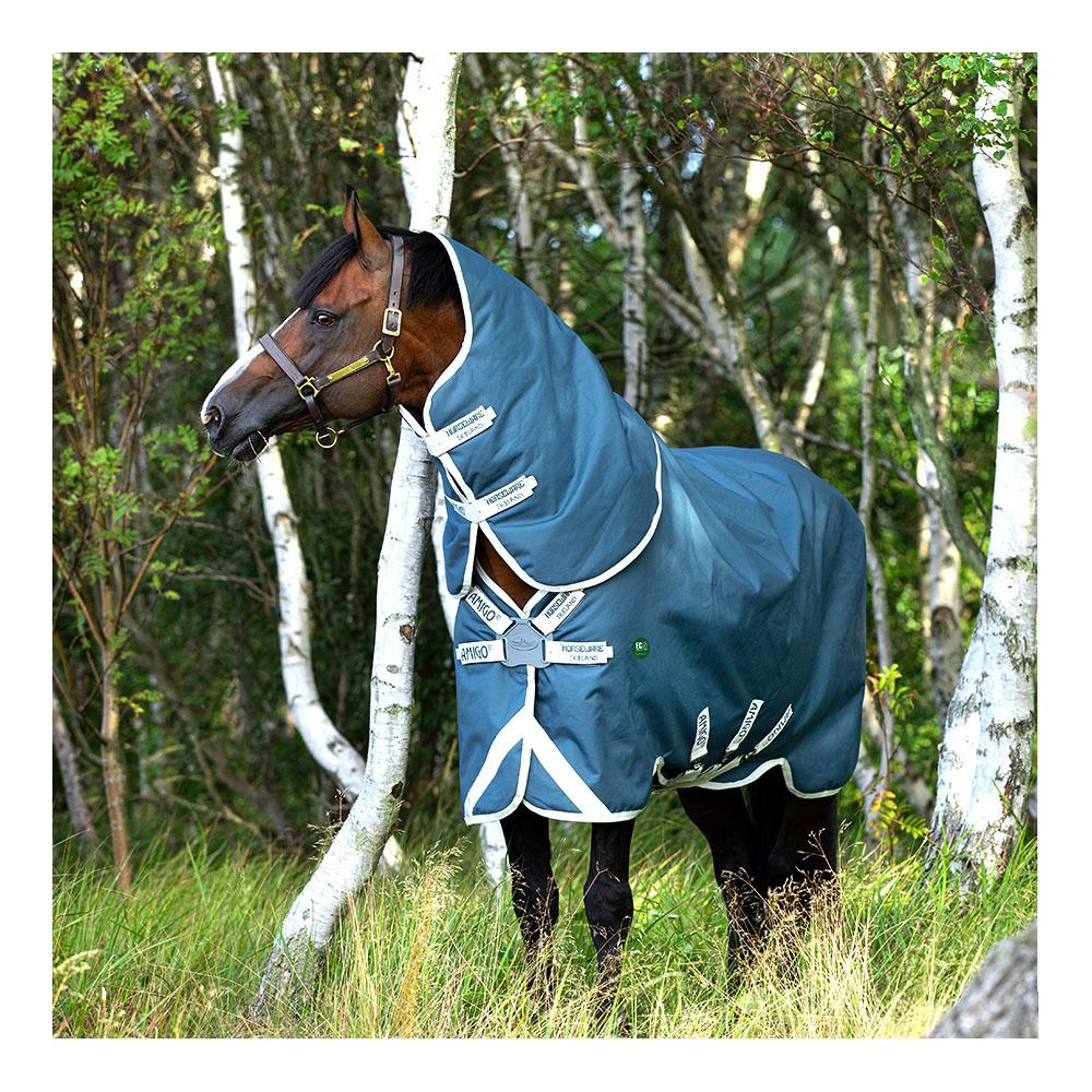 Horseware AMIGO AMECO BRAVO 12 PLUS 100G - Couverture de paddock + couvre-cou teal/grey