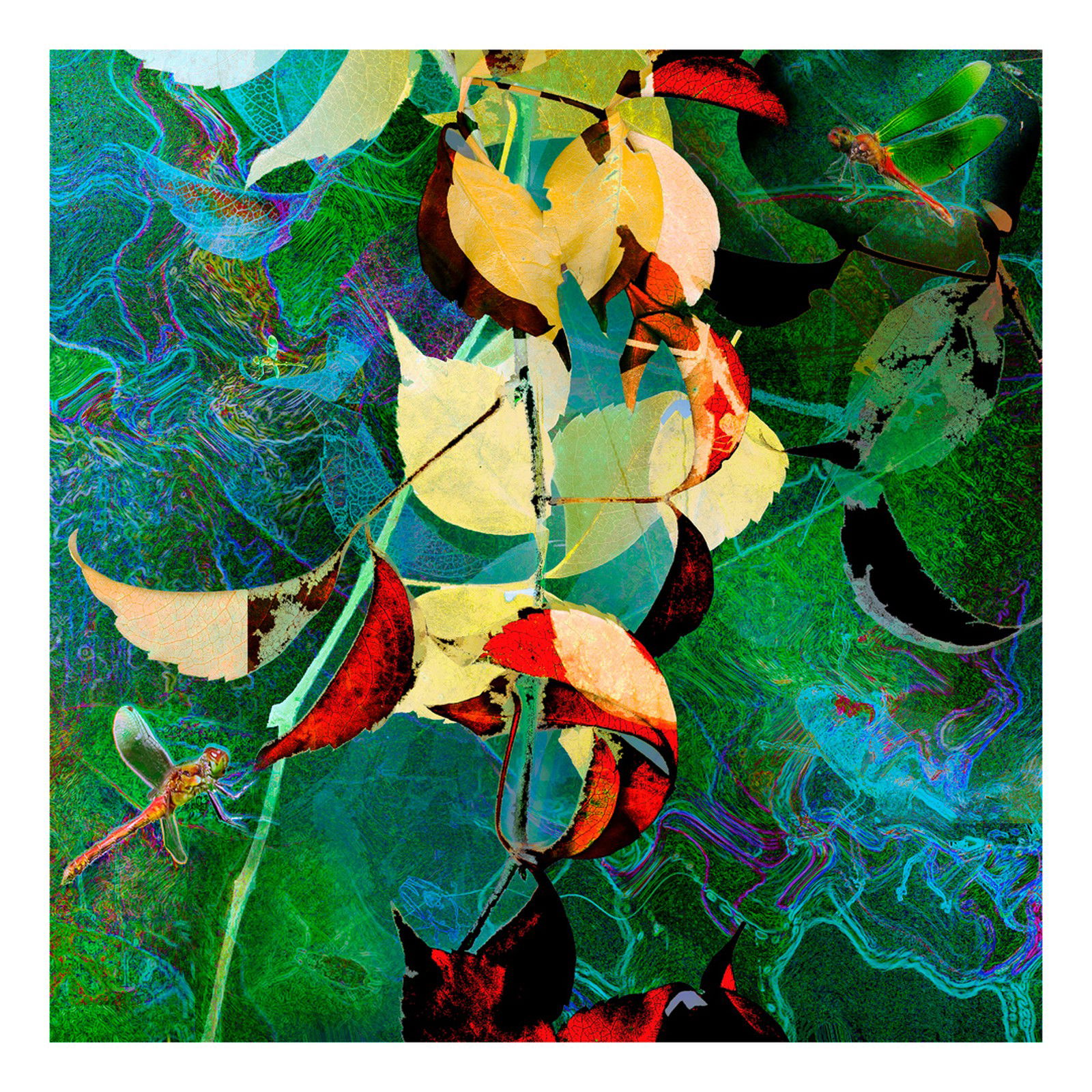 Florales m. Heidelibelle by Heidrun Göres - Limited Edition. Edition of: 150. Signed.