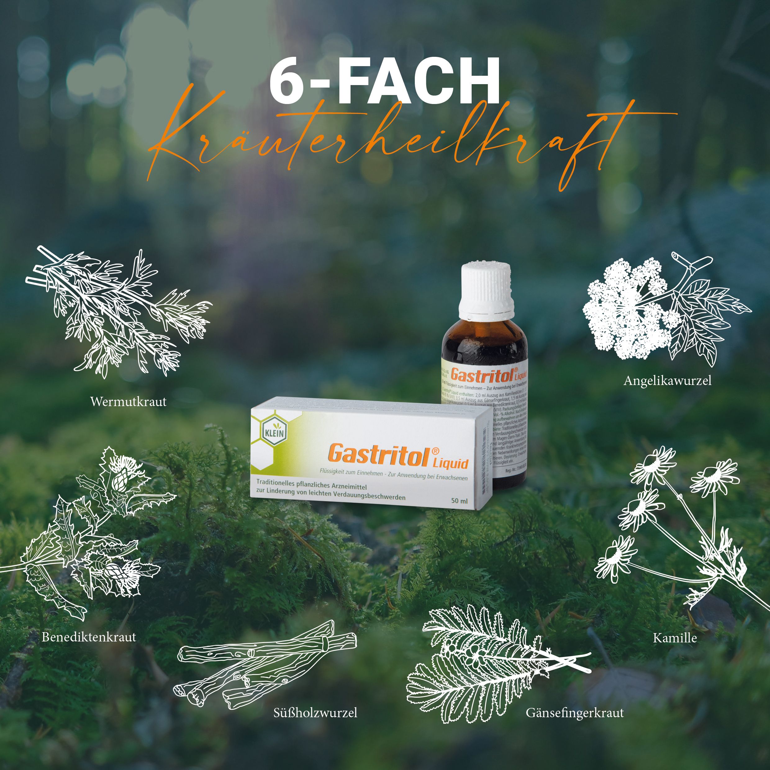 Gastritol® Liquid