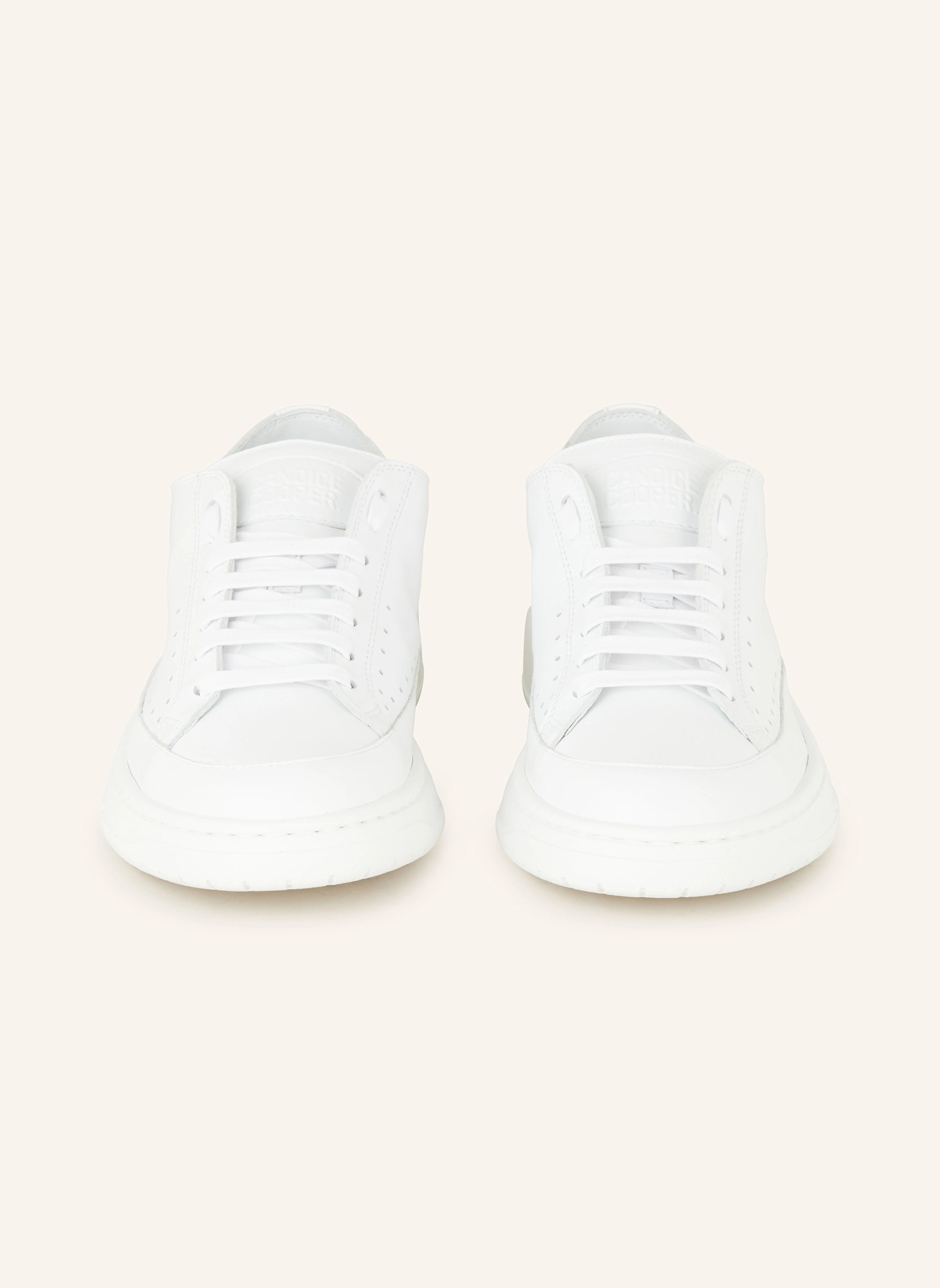 Candice Cooper Sneaker TEA