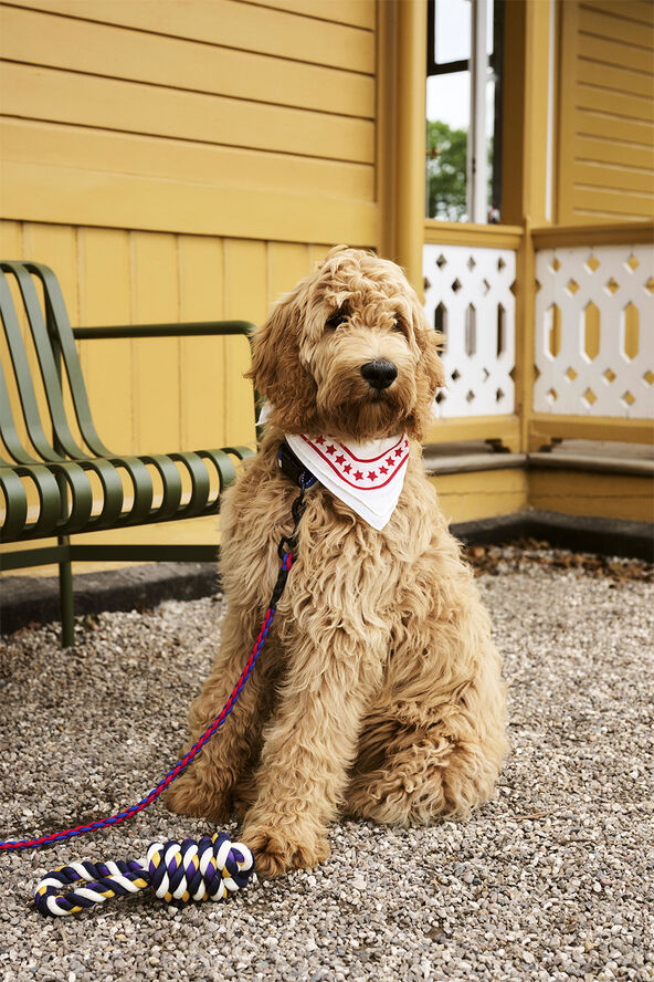 Hay HAY Dogs Leash-Braided-Red, blue