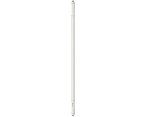 LED buis mini T5 G5/8,5W mat 1050 lm 3000 K warm wit L 531 mm