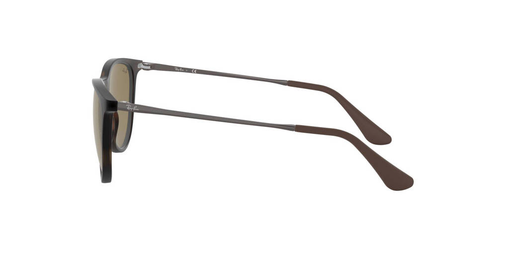 zonnebril 0RJ9060S met tortoise print bruin