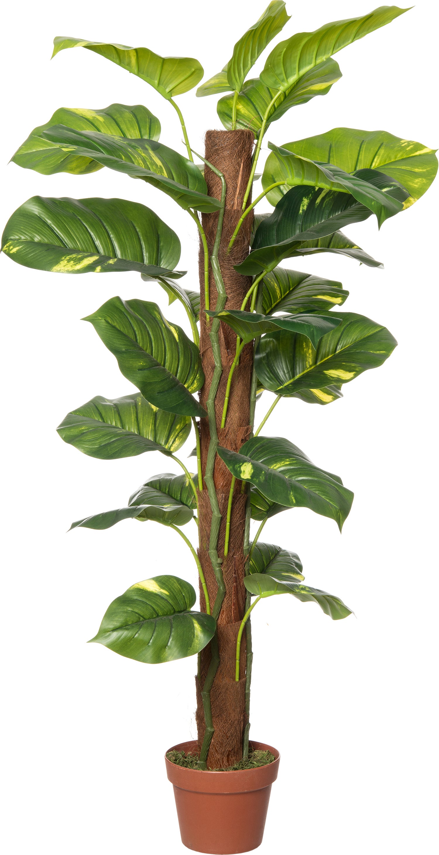 Intratuin kunstplant Drakenklimop 120 cm