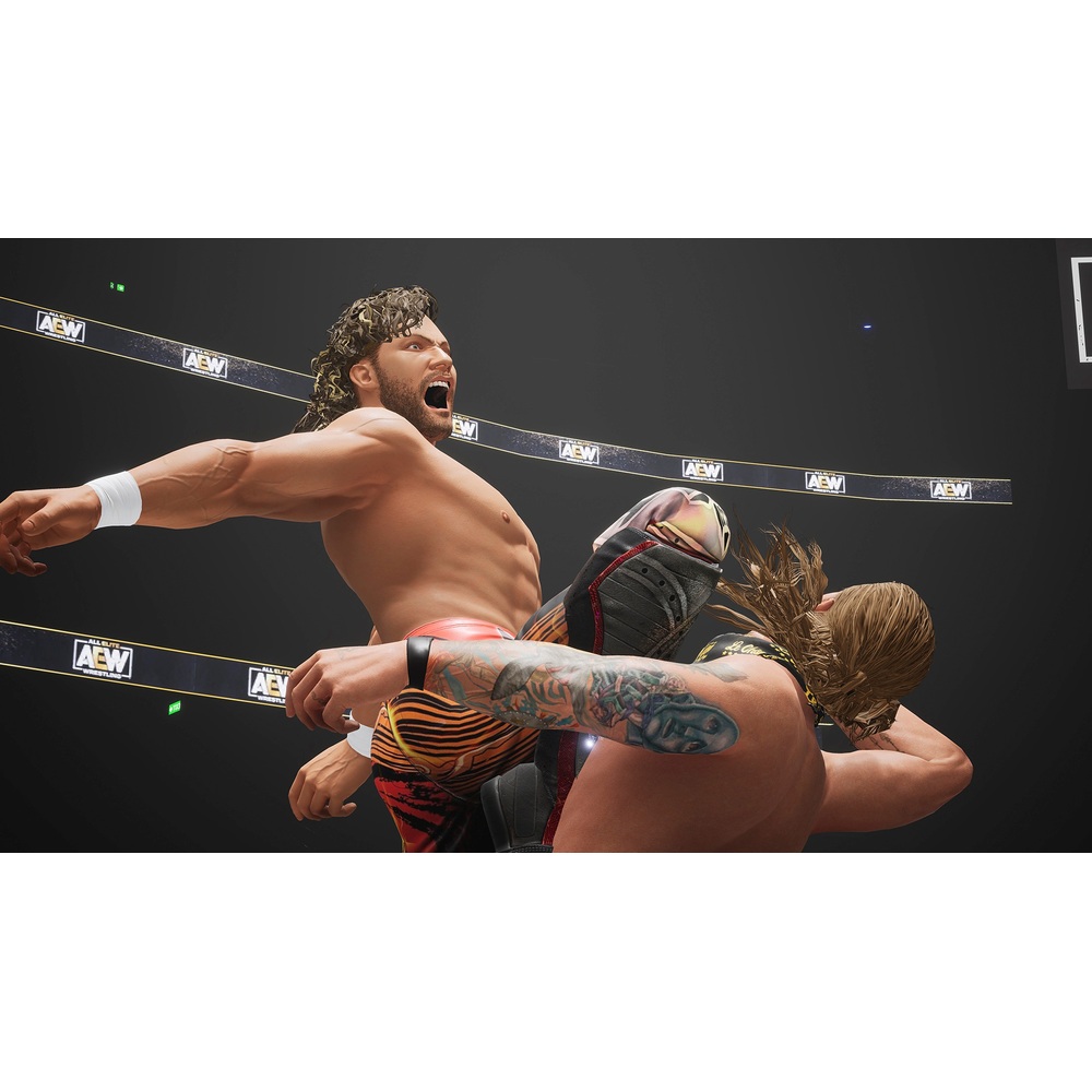 AEW: Fight Forever Nintendo Switch