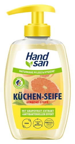 Hand san Küchenseife, 300ml