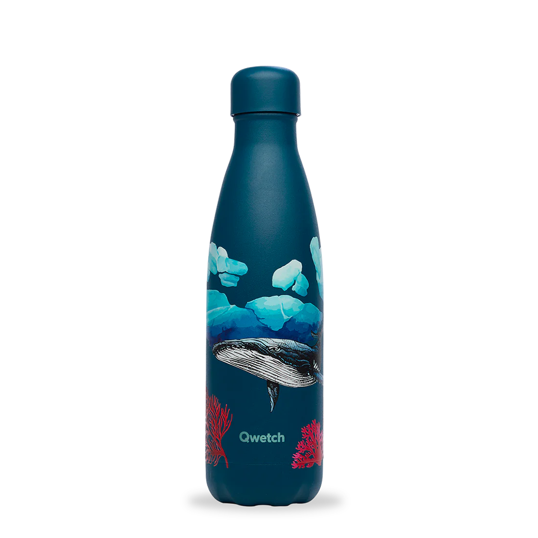 Bouteille Isotherme Originals Baleine - Qwetch