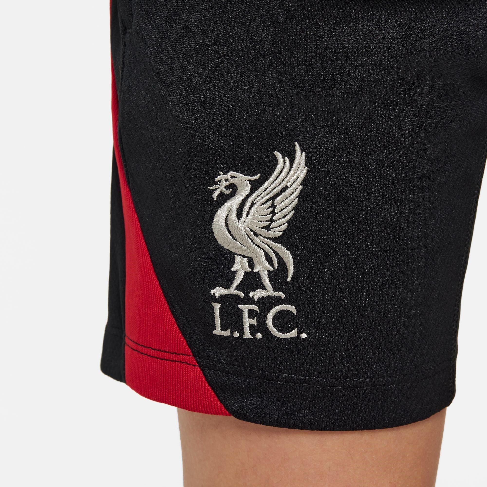 Nike Liverpool Strike Shorts Adults
