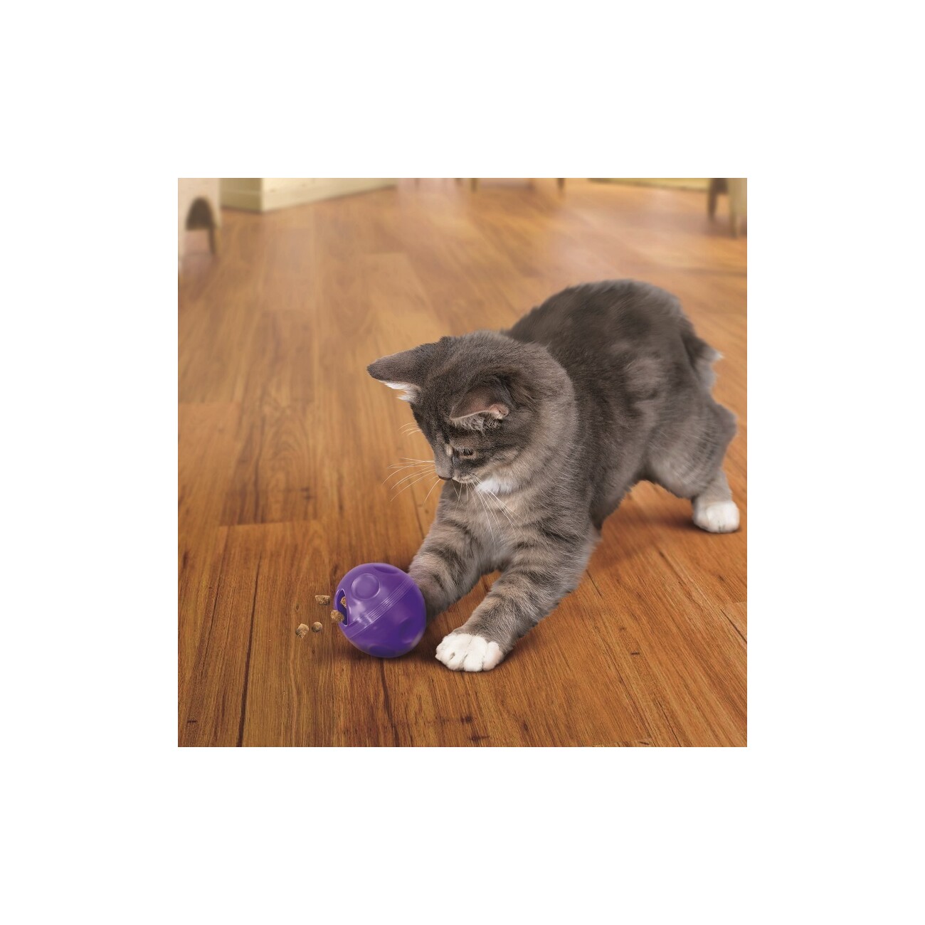 KONG Spielzeug Snack Ball