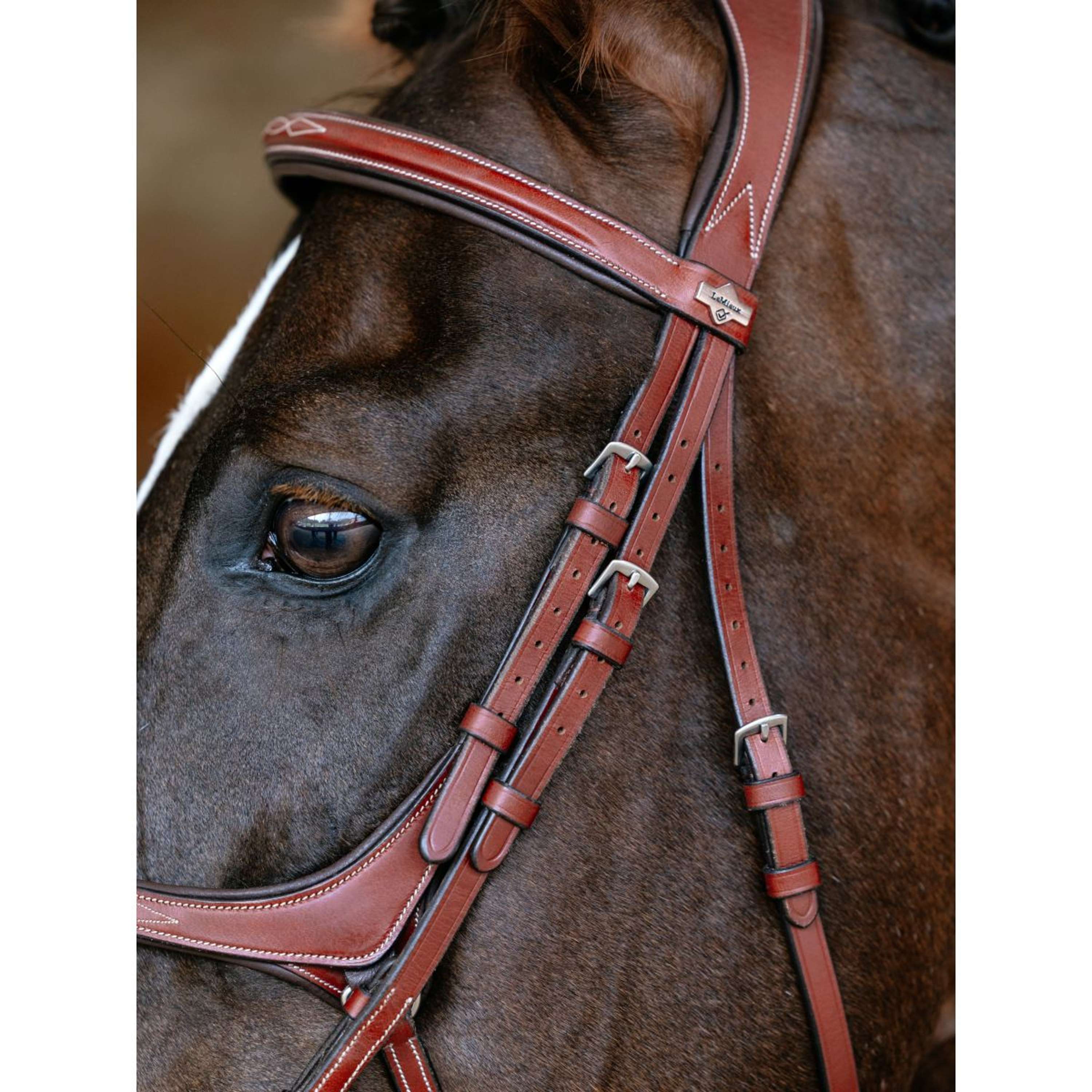 LeMieux Hoofdstel Kudos Grackle Chestnut