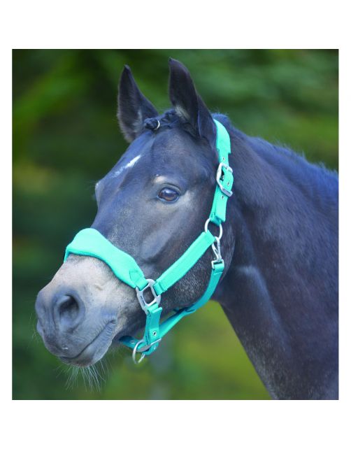 Waldhausen Halster Soft Fleece Gevoerd - Paardenhalster - Azure Gevoerd Soft Fleece Pony