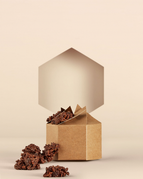 Rocher Roc' Noisette Chocolat au Lait 45% | Le Chocolat Alain Ducasse 100g