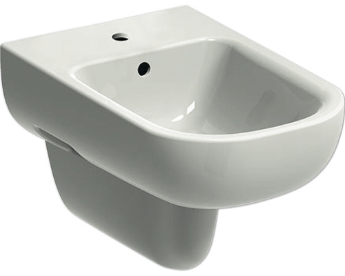 GEBERIT wandbidet Smyle wit met coating 500216018