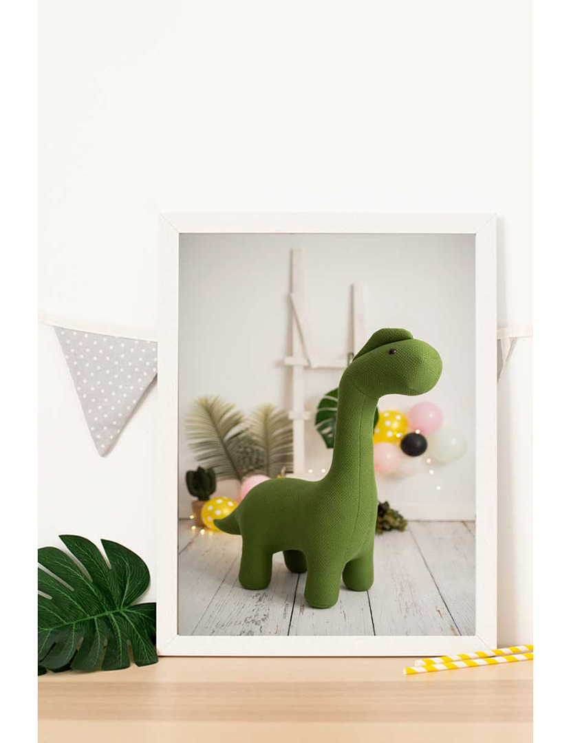 Dinosaur Crochet Frame