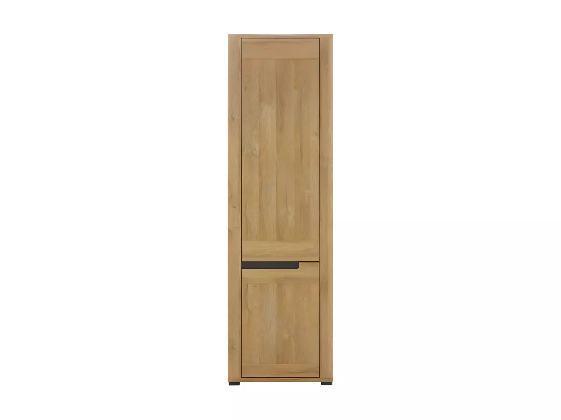 Armoire de salon 2 portes Chêne/Gris - CRACOVIE - L 58 x l 39.5 x H 193.5 cm