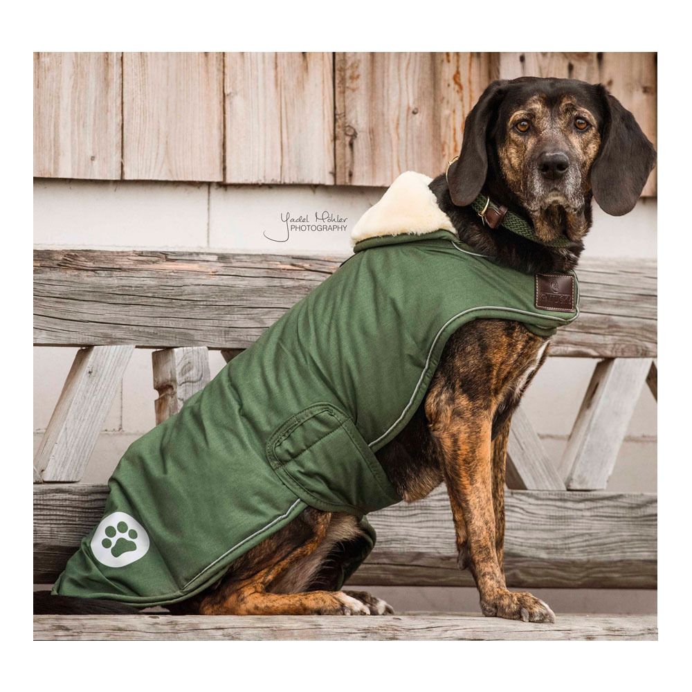 Kentucky WATERPROOF 300G - Couverture pour chien olive green