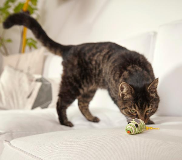 Dehner Lieblinge Katzenspielzeug Spielmäuse