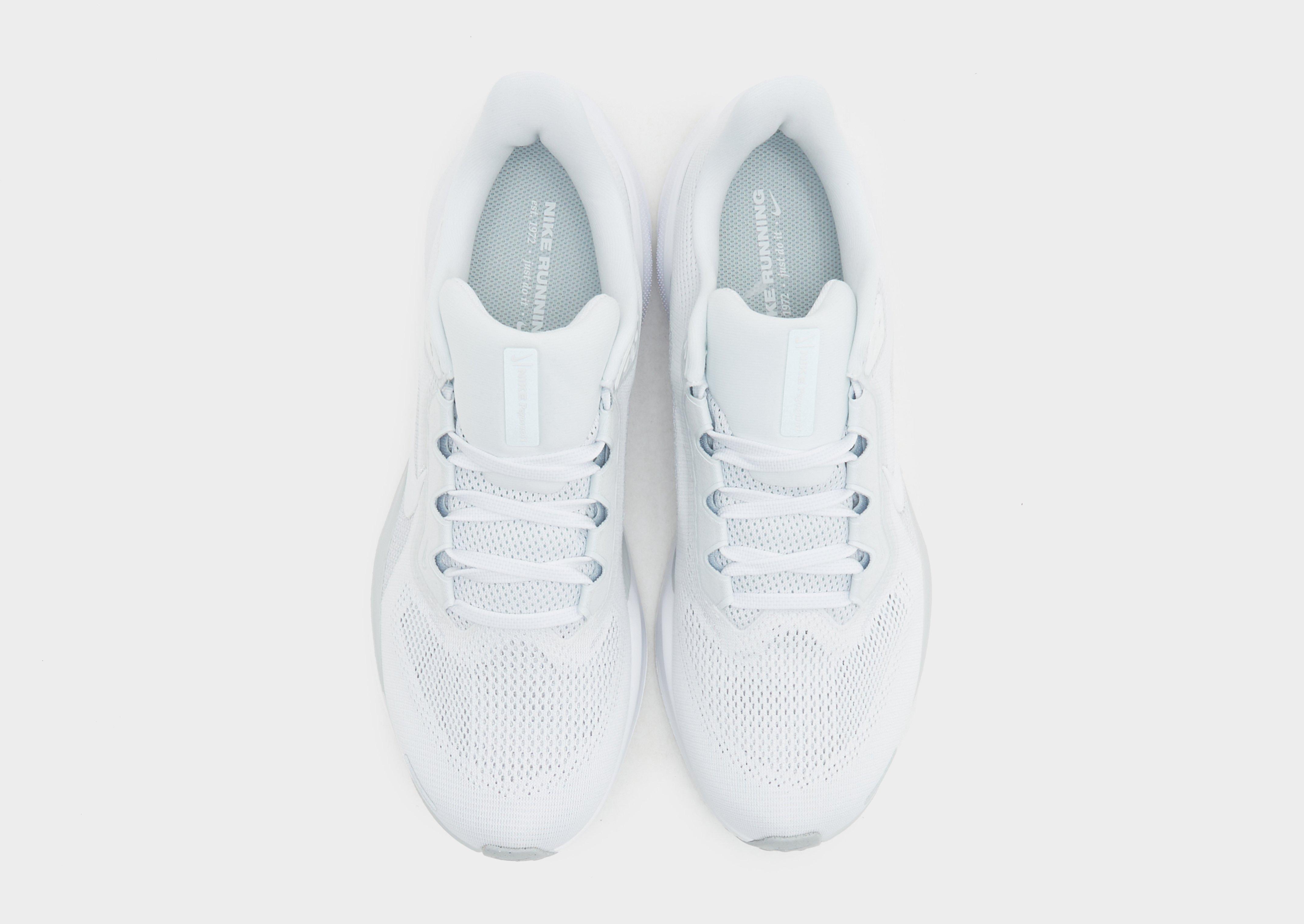 Nike Pegasus 41 Homme