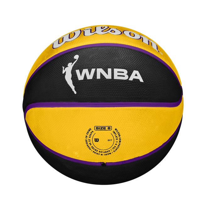 WNBA Tribute Basketball