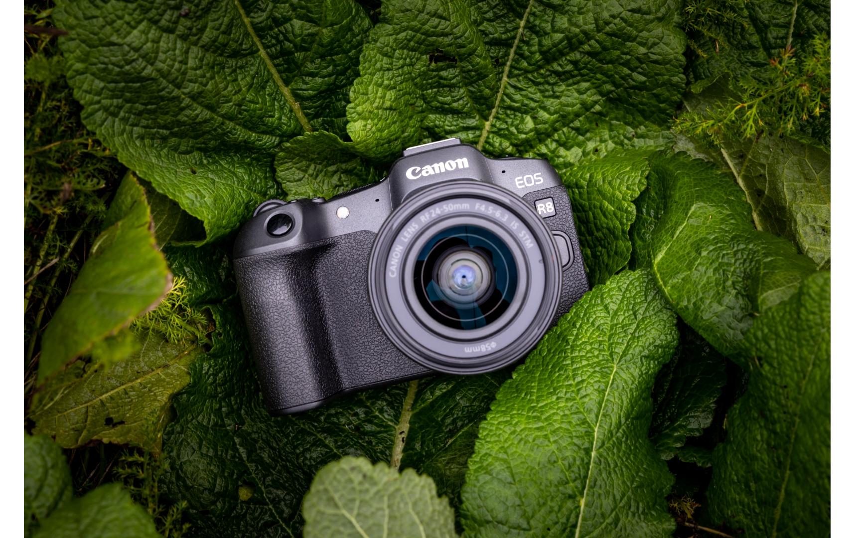 Fotokamera EOS R8 24-240mm Tasche 128 GB Kit<br>Vollformat-Hybridkamera mit Objektiv, Tasche und 128 GB Speicherkarte
