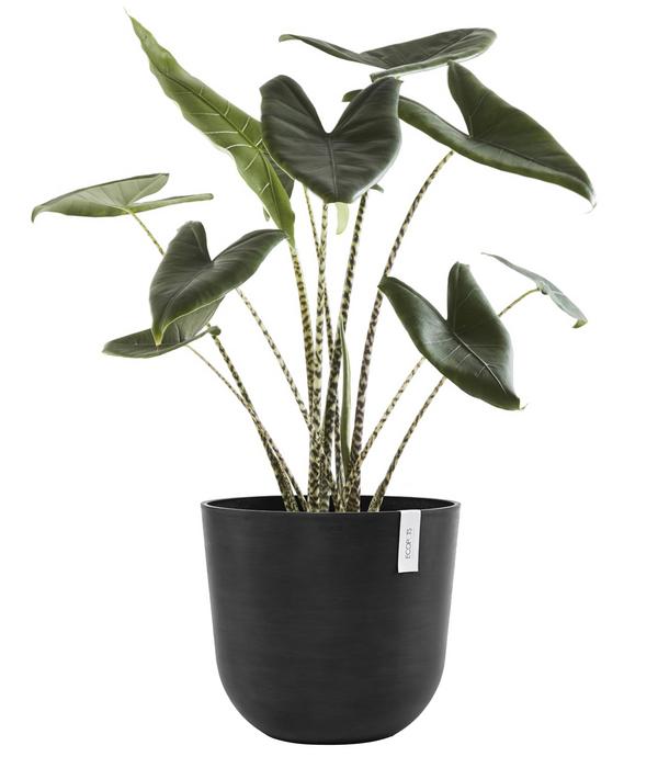 Ecopots Kunststoff-Topf Oslo mit Wassersystem,