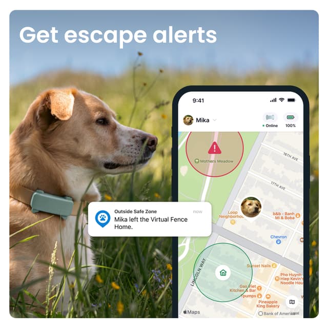 Tractive Dog 6 GPS-tracker (mint)