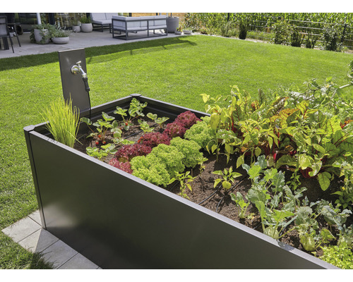 GARDENA Micro-Drip Startset bewateringsset voor verhoogde bedden/tuinbedden (voor maximaal 35 planten)