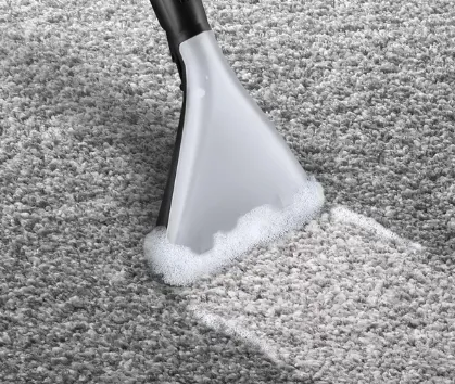 Bosch Serie | 4 AquaWash&Clean BWD421PRO - Støvsuger - beholder - pose / uden pose - hvid/sort