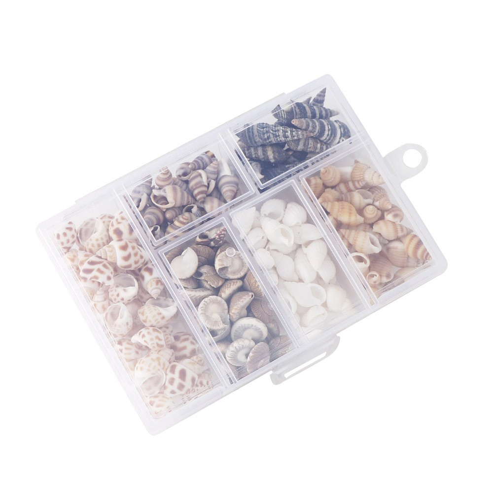 (100g) 1-3cm Deko Muschel Mini Bastel Naturschalen