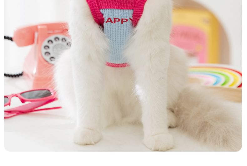 Cissilli - Pet Top met hartletters