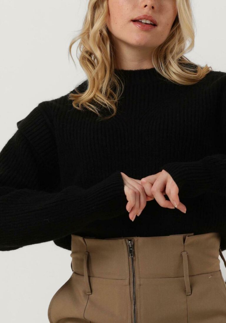 COLOURFUL REBEL zwarte colourful rebel trui toby sleeve detail knitwear sweater