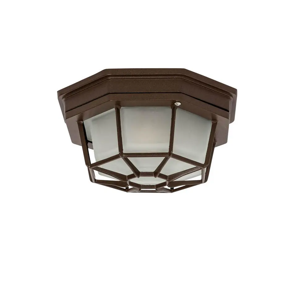 Qazqa plafondlampen buiten bri bronskleurig e27
