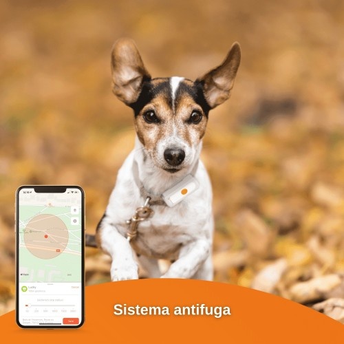 Localizador GPS para cães Weenect Dogs²