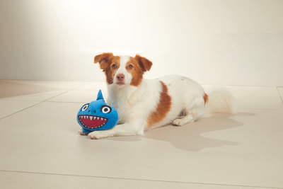 Chuckle Chums Hunde Spielzeug Interaktives Kau Plüschtier mit Geräuschen / Bewegungen Batteriebetrieben (VJUVACIND0012) - Assortiert