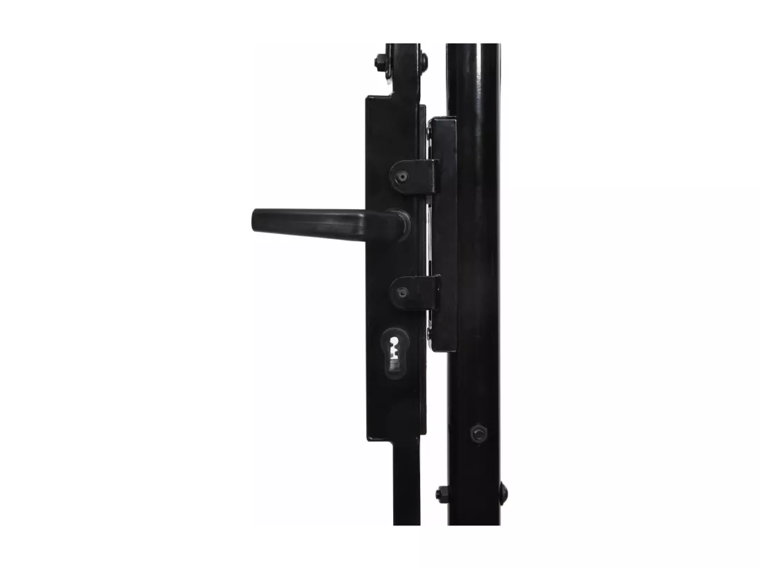 Portail de jardin Acier 1,75 x 4 m Noir