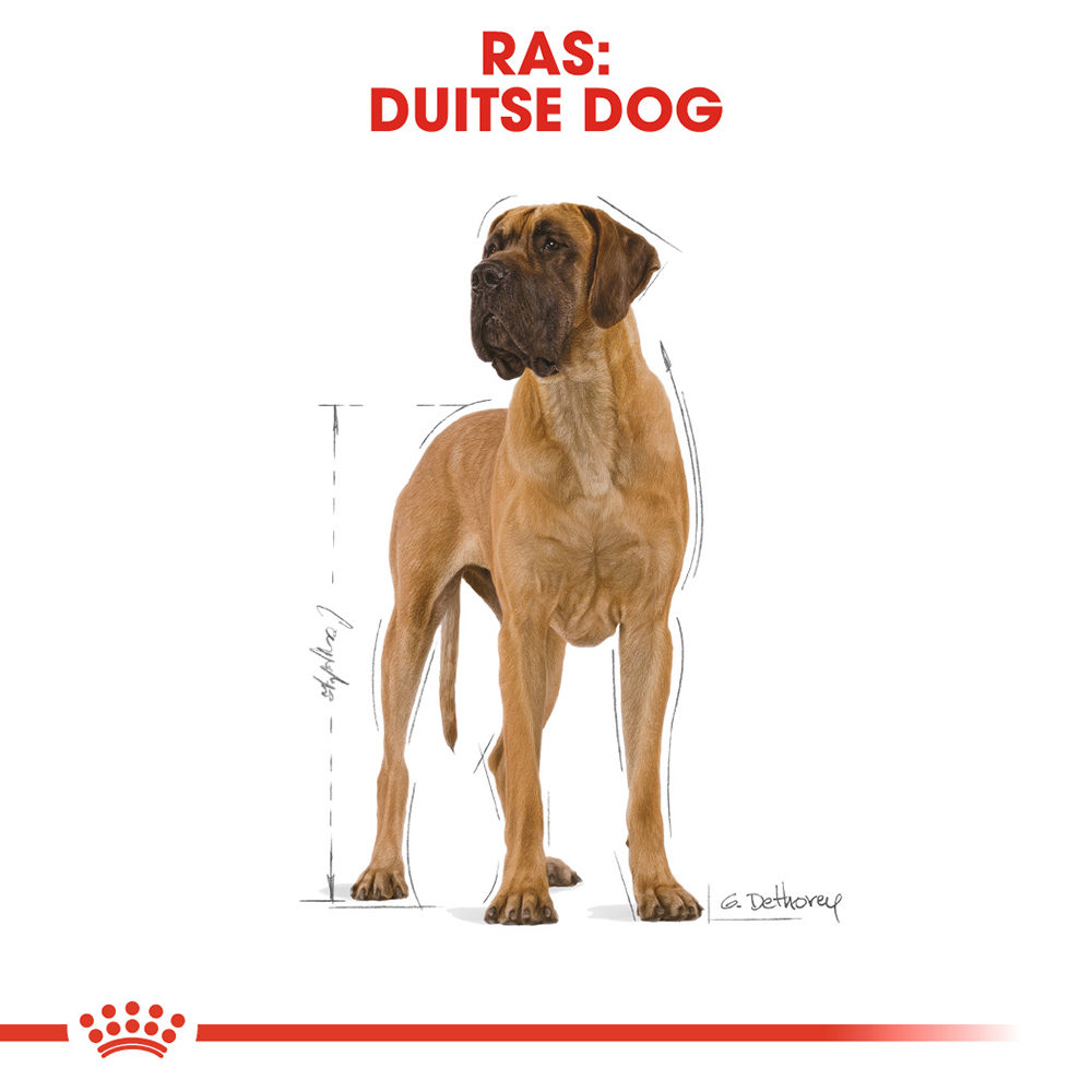 Royal Canin Great Dane Adult - Hondenvoer