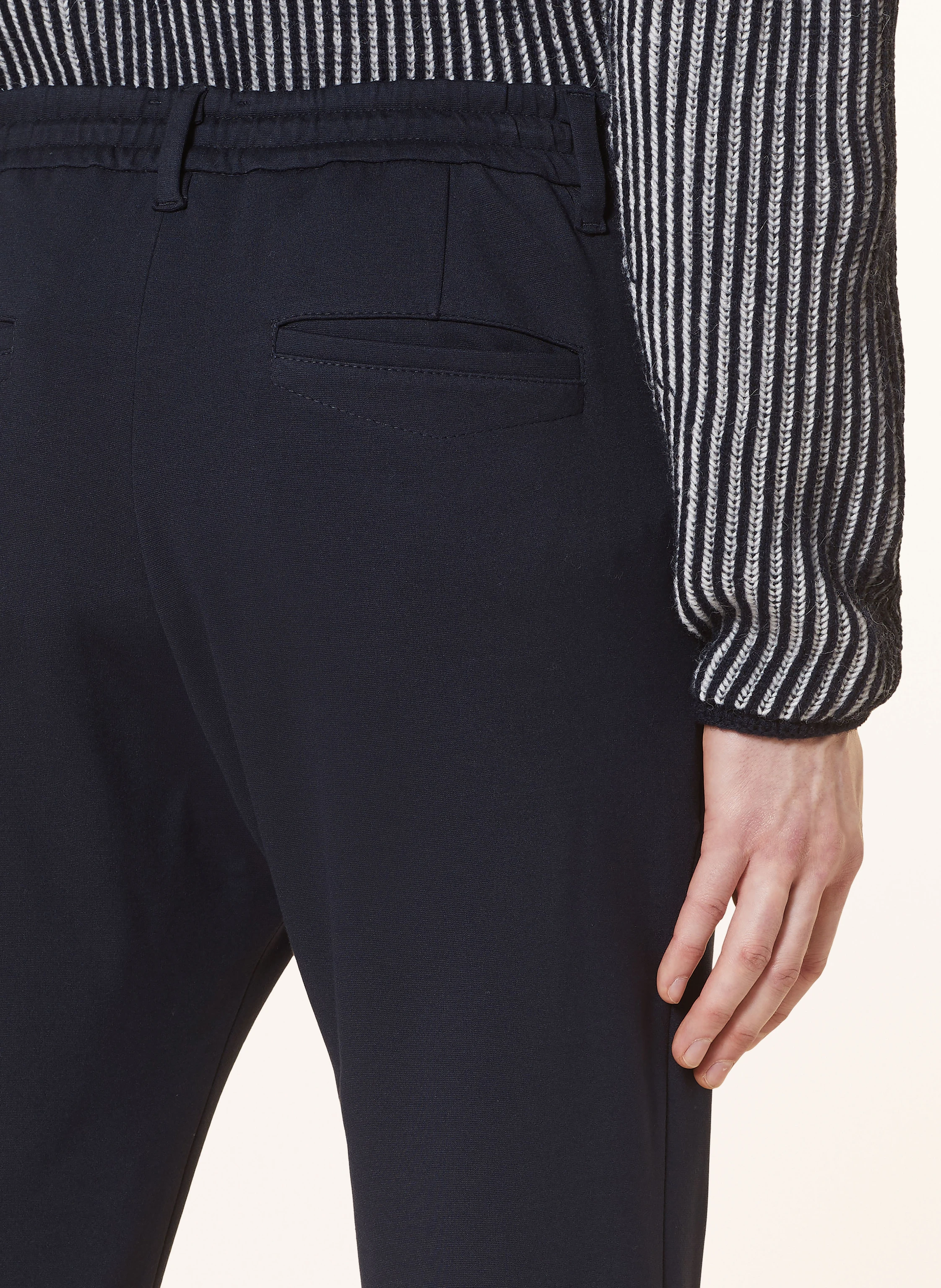 DRYKORN Jerseyhose DEGER im Jogging-Stil Slim Fit